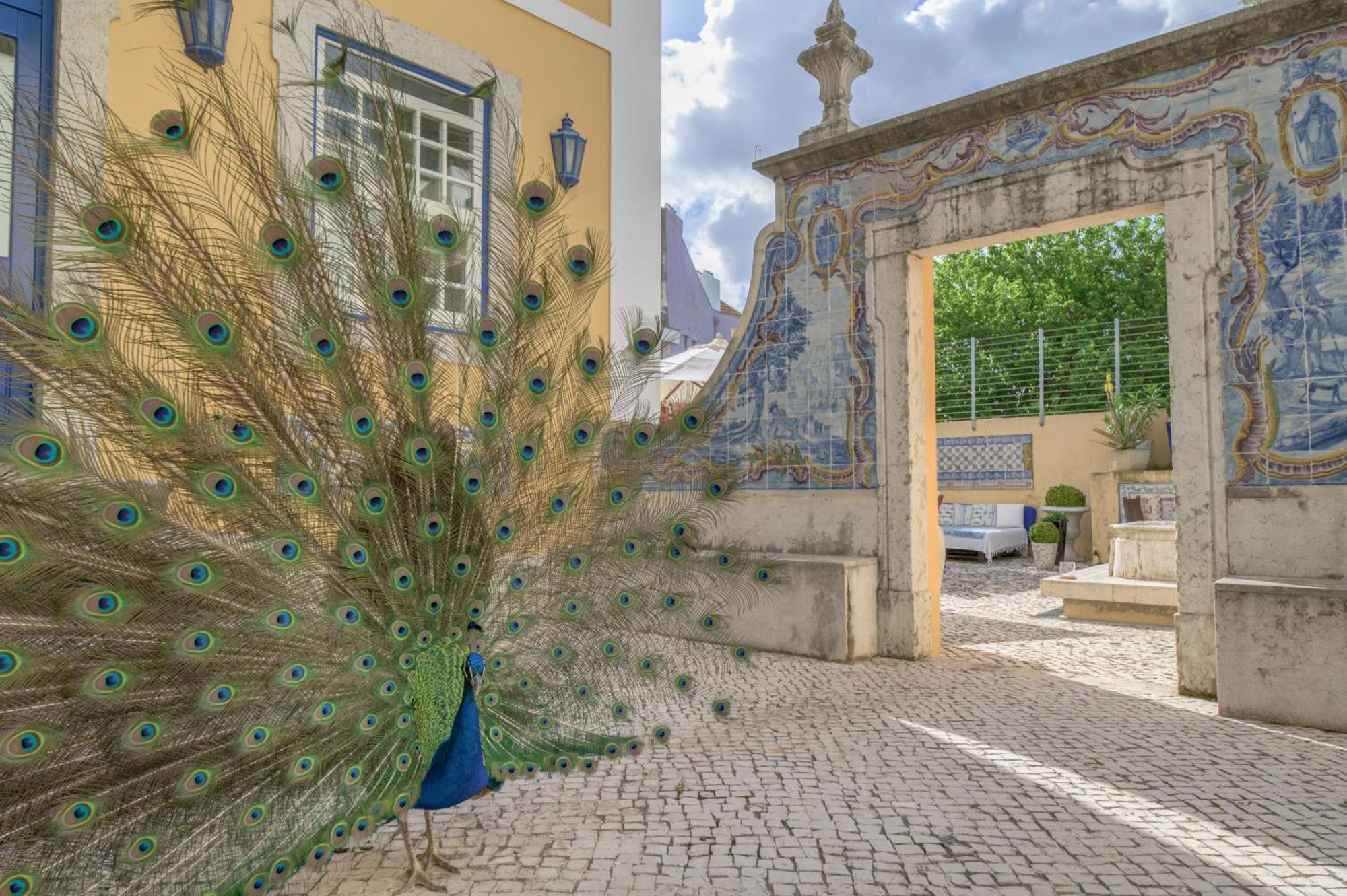 Solar Do Castelo - Heritage Collection - Alfama 4* Lissabon