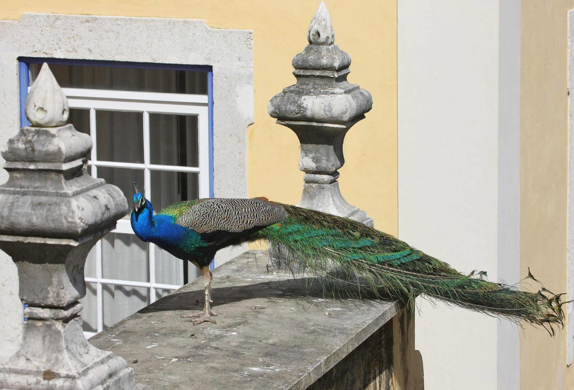 Solar Do Castelo - Heritage Collection - Alfama Hotel Lissabon